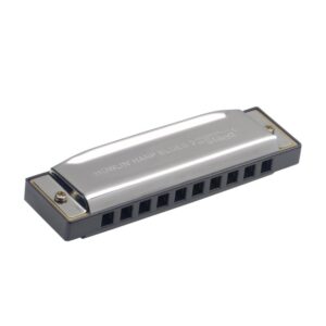 Stagg Howlin Harp Blues Harmonica in D Major BJH-B20 D